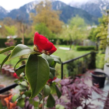 Premier Pahalgam Hotel Eksteriør billede