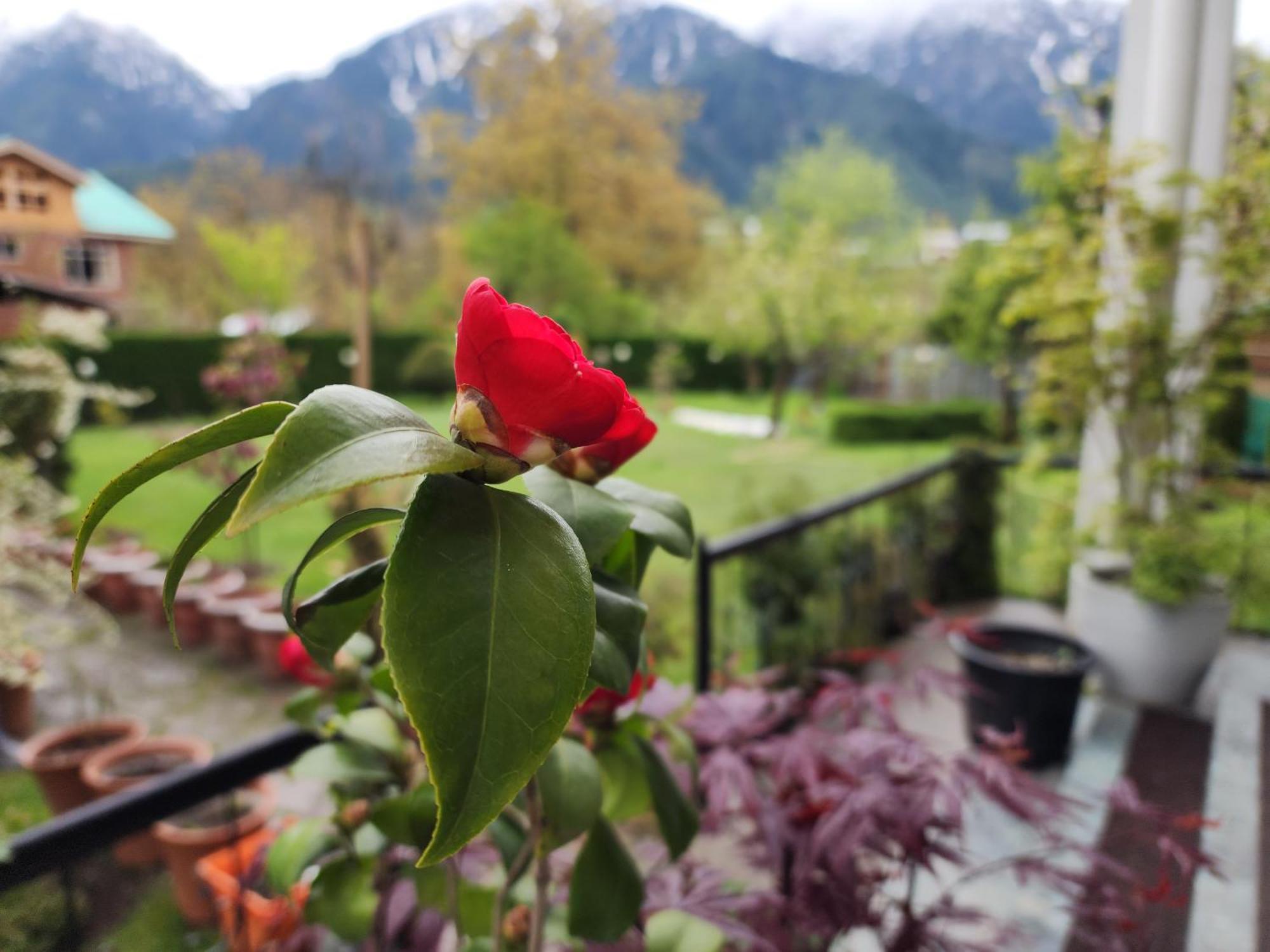 Premier Pahalgam Hotel Eksteriør billede